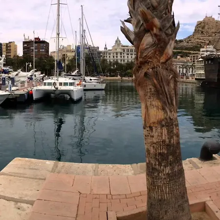 Lägenhet Homely Playa De Locos Torrevieja